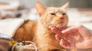 &Uacute;&dagger;&Uacute;&macr;&Ugrave;&circ;&Ugrave;&dagger;&Ugrave;&Dagger; &Oslash;&sect;&Oslash;&sup2; &Uacute;&copy;&Uacute;&copy; &Ugrave;&circ; &Uacute;&copy;&Ugrave;&dagger;&Ugrave;&Dagger; &Oslash;&macr;&Oslash;&plusmn; &Oslash;&shy;&Ucirc;&OElig;&Ugrave;&circ;&Oslash;&sect;&Ugrave;&dagger;&Oslash;&sect;&Oslash;&ordf; &Oslash;&reg;&Oslash;&sect;&Ugrave;&dagger;&Uacute;&macr;&Ucirc;&OElig; &Oslash;&not;&Ugrave;&bdquo;&Ugrave;&circ;&Uacute;&macr;&Ucirc;&OElig;&Oslash;&plusmn;&Ucirc;&OElig; &Uacute;&copy;&Ugrave;&dagger;&Ucirc;&OElig;&Ugrave;&hellip;&Oslash;&Yuml; &Oslash;&plusmn;&Oslash;&sect;&Ugrave;&Dagger;&Ugrave;&dagger;&Ugrave;&hellip;&Oslash;&sect;&Ucirc;&OElig; &Uacute;&copy;&Oslash;&sect;&Ugrave;&hellip;&Ugrave;&bdquo; &Oslash;&uml;&Oslash;&plusmn;&Oslash;&sect;&Ucirc;&OElig; &Oslash;&micro;&Oslash;&sect;&Oslash;&shy;&Oslash;&uml;&Oslash;&sect;&Ugrave;&dagger; &Oslash;&sup3;&Uacute;&macr; &Ugrave;&circ; &Uacute;&macr;&Oslash;&plusmn;&Oslash;&uml;&Ugrave;&Dagger;