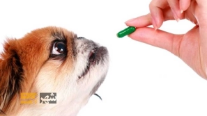 &Uacute;&copy;&Oslash;&macr;&Oslash;&sect;&Ugrave;&hellip; &Ugrave;&circ;&Ucirc;&OElig;&Oslash;&ordf;&Oslash;&sect;&Ugrave;&hellip;&Ucirc;&OElig;&Ugrave;&dagger;&acirc;&euro;&OElig;&Ugrave;&Dagger;&Oslash;&sect; &Oslash;&uml;&Oslash;&plusmn;&Oslash;&sect;&Ucirc;&OElig; &Oslash;&sup3;&Uacute;&macr; &Oslash;&acute;&Ugrave;&hellip;&Oslash;&sect; &Oslash;&para;&Oslash;&plusmn;&Ugrave;&circ;&Oslash;&plusmn;&Ucirc;&OElig; &Ugrave;&Dagger;&Oslash;&sup3;&Oslash;&ordf;&Ugrave;&dagger;&Oslash;&macr; &Ugrave;&circ; &Uacute;&dagger;&Oslash;&plusmn;&Oslash;&sect;&Oslash;&Yuml; &Ugrave;&frac34;&Oslash;&sect;&Oslash;&sup3;&Oslash;&reg; &Oslash;&sup1;&Ugrave;&bdquo;&Ugrave;&hellip;&Ucirc;&OElig; &Ugrave;&circ; &Oslash;&macr;&Ugrave;&sbquo;&Ucirc;&OElig;&Ugrave;&sbquo;