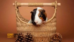 &Uacute;&dagger;&Uacute;&macr;&Ugrave;&circ;&Ugrave;&dagger;&Ugrave;&Dagger; &Oslash;&reg;&Oslash;&sect;&Ugrave;&dagger;&Ugrave;&Dagger;&acirc;&euro;&OElig;&Oslash;&sect;&Ucirc;&OElig; &Oslash;&sect;&Ugrave;&hellip;&Ugrave;&dagger; &Ugrave;&circ; &Oslash;&plusmn;&Oslash;&sect;&Oslash;&shy;&Oslash;&ordf; &Oslash;&uml;&Oslash;&plusmn;&Oslash;&sect;&Ucirc;&OElig; &Oslash;&reg;&Ugrave;&circ;&Uacute;&copy;&Uacute;&dagger;&Ugrave;&Dagger; &Ugrave;&Dagger;&Ugrave;&dagger;&Oslash;&macr;&Ucirc;&OElig; &Oslash;&uml;&Oslash;&sup3;&Oslash;&sect;&Oslash;&sup2;&Ucirc;&OElig;&Ugrave;&hellip;&Oslash;&Yuml;&Acirc;&nbsp;