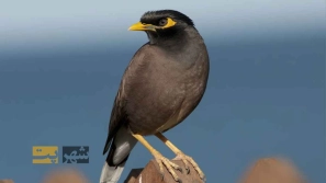 &Oslash;&uml;&Ugrave;&Dagger;&Oslash;&ordf;&Oslash;&plusmn;&Ucirc;&OElig;&Ugrave;&dagger; &Oslash;&plusmn;&Ugrave;&circ;&Oslash;&acute;&acirc;&euro;&OElig;&Ugrave;&Dagger;&Oslash;&sect;&Ucirc;&OElig; &Oslash;&ordf;&Oslash;&ordm;&Oslash;&deg;&Ucirc;&OElig;&Ugrave;&Dagger; &Ugrave;&hellip;&Oslash;&plusmn;&Oslash;&ordm; &Ugrave;&hellip;&Ucirc;&OElig;&Ugrave;&dagger;&Oslash;&sect; &Oslash;&uml;&Oslash;&plusmn;&Oslash;&sect;&Ucirc;&OElig; &Oslash;&sup3;&Ugrave;&bdquo;&Oslash;&sect;&Ugrave;&hellip;&Oslash;&ordf; &Ugrave;&circ; &Oslash;&acute;&Oslash;&sect;&Oslash;&macr;&Oslash;&sect;&Oslash;&uml;&Ucirc;&OElig;