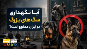 &Ugrave;&sbquo;&Oslash;&sect;&Ugrave;&dagger;&Ugrave;&circ;&Ugrave;&dagger; &Ugrave;&dagger;&Uacute;&macr;&Ugrave;&Dagger;&Oslash;&macr;&Oslash;&sect;&Oslash;&plusmn;&Ucirc;&OElig; &Oslash;&sup3;&Uacute;&macr; &Oslash;&macr;&Oslash;&plusmn; &Oslash;&sect;&Ucirc;&OElig;&Oslash;&plusmn;&Oslash;&sect;&Ugrave;&dagger;&Oslash;&rsaquo; &Ugrave;&dagger;&Uacute;&copy;&Oslash;&sect;&Oslash;&ordf; &Oslash;&shy;&Ugrave;&sbquo;&Ugrave;&circ;&Ugrave;&sbquo;&Ucirc;&OElig; &Oslash;&cent;&Ugrave;&frac34;&Oslash;&sect;&Oslash;&plusmn;&Oslash;&ordf;&Ugrave;&hellip;&Oslash;&sect;&Ugrave;&dagger; &Ugrave;&dagger;&Oslash;&acute;&Ucirc;&OElig;&Ugrave;&dagger;&Ucirc;&OElig; 1405