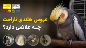 &Ugrave;&circ;&Ugrave;&sbquo;&Oslash;&ordf;&Ucirc;&OElig; &Oslash;&sup1;&Oslash;&plusmn;&Ugrave;&circ;&Oslash;&sup3; &Ugrave;&Dagger;&Ugrave;&bdquo;&Ugrave;&dagger;&Oslash;&macr;&Ucirc;&OElig; &Ugrave;&dagger;&Oslash;&sect;&Oslash;&plusmn;&Oslash;&sect;&Oslash;&shy;&Oslash;&ordf;&Ugrave;&Dagger; &Oslash;&sect;&Oslash;&sup2; &Uacute;&copy;&Oslash;&not;&Oslash;&sect; &Oslash;&uml;&Ugrave;&Ugrave;&Dagger;&Ugrave;&hellip;&Ucirc;&OElig;&Ugrave;&hellip;&Oslash;&Yuml; &Ucirc;&para; &Ugrave;&dagger;&Oslash;&acute;&Oslash;&sect;&Ugrave;&dagger;&Ugrave;&Dagger; &Ugrave;&hellip;&Ugrave;&Dagger;&Ugrave;&hellip;