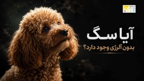 &Oslash;&sup3;&Uacute;&macr; &Ugrave;&hellip;&Ugrave;&dagger;&Oslash;&sect;&Oslash;&sup3;&Oslash;&uml; &Oslash;&sect;&Ugrave;&Oslash;&plusmn;&Oslash;&sect;&Oslash;&macr; &Oslash;&cent;&Ugrave;&bdquo;&Oslash;&plusmn;&Uacute;&tilde;&Ucirc;&OElig;&Uacute;&copy;&Oslash;&rsaquo; &Oslash;&plusmn;&Oslash;&sect;&Ugrave;&Dagger;&Ugrave;&dagger;&Ugrave;&hellip;&Oslash;&sect;&Ucirc;&OElig; &Uacute;&copy;&Oslash;&sect;&Ugrave;&hellip;&Ugrave;&bdquo; &Ugrave;&dagger;&Uacute;&tilde;&Oslash;&sect;&Oslash;&macr;&Ugrave;&Dagger;&Oslash;&sect;&Ucirc;&OElig; &Uacute;&copy;&Ugrave;&hellip; &Oslash;&plusmn;&Ucirc;&OElig;&Oslash;&sup2;&Oslash;&acute;