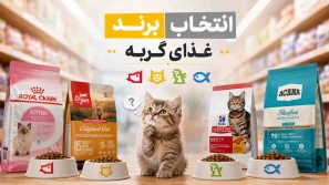 &Oslash;&plusmn;&Ugrave;&circ;&Ucirc;&OElig;&Oslash;&sect;&Ugrave;&bdquo; &Uacute;&copy;&Ugrave;&dagger;&Ucirc;&OElig;&Ugrave;&dagger; &Ucirc;&OElig;&Oslash;&sect; &Ugrave;&Dagger;&Ucirc;&OElig;&Ugrave;&bdquo;&Oslash;&sup2;&Oslash;&Yuml; &Uacute;&copy;&Oslash;&macr;&Oslash;&sect;&Ugrave;&hellip; &Oslash;&ordm;&Oslash;&deg;&Oslash;&sect;&Ucirc;&OElig; &Uacute;&macr;&Oslash;&plusmn;&Oslash;&uml;&Ugrave;&Dagger; &Oslash;&uml;&Ugrave;&Dagger;&Oslash;&ordf;&Oslash;&plusmn; &Oslash;&sect;&Oslash;&sup3;&Oslash;&ordf;&Oslash;&Yuml;