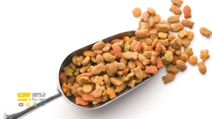 &Oslash;&sect;&Ugrave;&dagger;&Ugrave;&circ;&Oslash;&sect;&Oslash;&sup1; &Oslash;&ordm;&Oslash;&deg;&Oslash;&sect;&Ucirc;&OElig; &Oslash;&reg;&Oslash;&acute;&Uacute;&copy; &Uacute;&macr;&Oslash;&plusmn;&Oslash;&uml;&Ugrave;&Dagger; &Oslash;&sect;&Ucirc;&OElig;&Oslash;&plusmn;&Oslash;&sect;&Ugrave;&dagger;&Ucirc;&OElig; &Ugrave;&circ; &Oslash;&reg;&Oslash;&sect;&Oslash;&plusmn;&Oslash;&not;&Ucirc;&OElig;&Oslash;&rsaquo; &Oslash;&sect;&Oslash;&sup2; &Oslash;&uml;&Uacute;&dagger;&Ugrave;&Dagger; &Uacute;&macr;&Oslash;&plusmn;&Oslash;&uml;&Ugrave;&Dagger; &Oslash;&ordf;&Oslash;&sect; &Uacute;&macr;&Oslash;&plusmn;&Oslash;&uml;&Ugrave;&Dagger; &Oslash;&uml;&Oslash;&sect;&Ugrave;&bdquo;&Oslash;&ordm; &Ugrave;&circ; &Oslash;&sup1;&Ugrave;&sbquo;&Ucirc;&OElig;&Ugrave;&hellip; &Oslash;&acute;&Oslash;&macr;&Ugrave;&Dagger;!