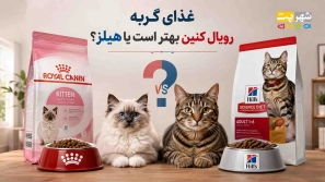&Oslash;&plusmn;&Ugrave;&circ;&Ucirc;&OElig;&Oslash;&sect;&Ugrave;&bdquo; &Uacute;&copy;&Ugrave;&dagger;&Ucirc;&OElig;&Ugrave;&dagger; &Ucirc;&OElig;&Oslash;&sect; &Ugrave;&Dagger;&Ucirc;&OElig;&Ugrave;&bdquo;&Oslash;&sup2;&Oslash;&Yuml; &Uacute;&copy;&Oslash;&macr;&Oslash;&sect;&Ugrave;&hellip; &Oslash;&ordm;&Oslash;&deg;&Oslash;&sect;&Ucirc;&OElig; &Uacute;&macr;&Oslash;&plusmn;&Oslash;&uml;&Ugrave;&Dagger; &Oslash;&uml;&Ugrave;&Dagger;&Oslash;&ordf;&Oslash;&plusmn; &Oslash;&sect;&Oslash;&sup3;&Oslash;&ordf;&Oslash;&Yuml;