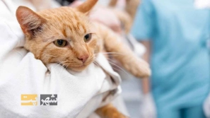 &Uacute;&dagger;&Uacute;&macr;&Ugrave;&circ;&Ugrave;&dagger;&Ugrave;&Dagger; &Oslash;&sect;&Oslash;&sup2; &Uacute;&copy;&Uacute;&copy; &Ugrave;&circ; &Uacute;&copy;&Ugrave;&dagger;&Ugrave;&Dagger; &Oslash;&macr;&Oslash;&plusmn; &Oslash;&shy;&Ucirc;&OElig;&Ugrave;&circ;&Oslash;&sect;&Ugrave;&dagger;&Oslash;&sect;&Oslash;&ordf; &Oslash;&reg;&Oslash;&sect;&Ugrave;&dagger;&Uacute;&macr;&Ucirc;&OElig; &Oslash;&not;&Ugrave;&bdquo;&Ugrave;&circ;&Uacute;&macr;&Ucirc;&OElig;&Oslash;&plusmn;&Ucirc;&OElig; &Uacute;&copy;&Ugrave;&dagger;&Ucirc;&OElig;&Ugrave;&hellip;&Oslash;&Yuml; &Oslash;&plusmn;&Oslash;&sect;&Ugrave;&Dagger;&Ugrave;&dagger;&Ugrave;&hellip;&Oslash;&sect;&Ucirc;&OElig; &Uacute;&copy;&Oslash;&sect;&Ugrave;&hellip;&Ugrave;&bdquo; &Oslash;&uml;&Oslash;&plusmn;&Oslash;&sect;&Ucirc;&OElig; &Oslash;&micro;&Oslash;&sect;&Oslash;&shy;&Oslash;&uml;&Oslash;&sect;&Ugrave;&dagger; &Oslash;&sup3;&Uacute;&macr; &Ugrave;&circ; &Uacute;&macr;&Oslash;&plusmn;&Oslash;&uml;&Ugrave;&Dagger;