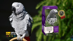 Ø¨Ù‡ØªØ±ÛŒÙ† ØºØ°Ø§ÛŒ Ø·ÙˆØ·ÛŒ Ú©Ø§Ø³Ú©Ùˆ Ú†ÛŒØ³ØªØŸ Ú©Ø§Ù…Ù„â€ŒØªØ±ÛŒÙ† Ø±Ø§Ù‡Ù†Ù…Ø§ÛŒ ØªØºØ°ÛŒÙ‡ Û²Û°Û²Ûµ