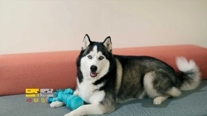 &Oslash;&cent;&Ugrave;&hellip;&Ugrave;&circ;&Oslash;&sup2;&Oslash;&acute; &Oslash;&ordf;&Oslash;&plusmn;&Oslash;&uml;&Ucirc;&OElig;&Oslash;&ordf; &Oslash;&sup3;&Uacute;&macr; &Ugrave;&Dagger;&Oslash;&sect;&Oslash;&sup3;&Uacute;&copy;&Ucirc;&OElig; &Oslash;&sect;&Oslash;&sup2; &Oslash;&ordf;&Ugrave;&circ;&Ugrave;&bdquo;&Uacute;&macr;&Ucirc;&OElig; &Oslash;&ordf;&Oslash;&sect; &Oslash;&uml;&Oslash;&sup2;&Oslash;&plusmn;&Uacute;&macr;&Oslash;&sup3;&Oslash;&sect;&Ugrave;&bdquo;&Ucirc;&OElig; | &Oslash;&sect;&Oslash;&acute;&Oslash;&ordf;&Oslash;&uml;&Oslash;&sect;&Ugrave;&Dagger;&Oslash;&sect;&Oslash;&ordf; &Oslash;&plusmn;&Oslash;&sect;&Ucirc;&OElig;&Oslash;&not; &Oslash;&micro;&Oslash;&sect;&Oslash;&shy;&Oslash;&uml;&Oslash;&sect;&Ugrave;&dagger; &Ugrave;&Dagger;&Oslash;&sect;&Oslash;&sup3;&Uacute;&copy;&Ucirc;&OElig;!