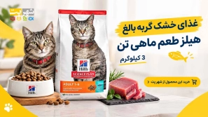 &Oslash;&uml;&Oslash;&sup3;&Oslash;&ordf;&Ugrave;&Dagger; &Ucirc;&sup3; &Uacute;&copy;&Ucirc;&OElig;&Ugrave;&bdquo;&Ugrave;&circ;&Ucirc;&OElig;&Ucirc;&OElig; &Ugrave;&Dagger;&Ucirc;&OElig;&Ugrave;&bdquo;&Oslash;&sup2; &Oslash;&uml;&Oslash;&plusmn;&Oslash;&sect;&Ucirc;&OElig; &Ucirc;&OElig;&Uacute;&copy; &Uacute;&macr;&Oslash;&plusmn;&Oslash;&uml;&Ugrave;&Dagger; &Oslash;&uml;&Oslash;&sect;&Ugrave;&bdquo;&Oslash;&ordm; &Uacute;&dagger;&Ugrave;&dagger;&Oslash;&macr; &Ugrave;&hellip;&Oslash;&sect;&Ugrave;&Dagger; &Uacute;&copy;&Oslash;&sect;&Ugrave;&Ucirc;&OElig; &Oslash;&sect;&Oslash;&sup3;&Oslash;&ordf;&Oslash;&Yuml;