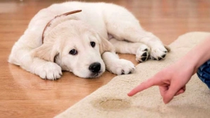 &Oslash;&cent;&Ugrave;&hellip;&Ugrave;&circ;&Oslash;&sup2;&Oslash;&acute; &Oslash;&macr;&Oslash;&sup3;&Oslash;&ordf;&Oslash;&acute;&Ugrave;&circ;&Ucirc;&OElig;&Ucirc;&OElig; &Oslash;&sup3;&Uacute;&macr;: &Oslash;&plusmn;&Oslash;&sect;&Ugrave;&Dagger;&Ugrave;&dagger;&Ugrave;&hellip;&Oslash;&sect;&Ucirc;&OElig; &Uacute;&copy;&Oslash;&sect;&Ugrave;&hellip;&Ugrave;&bdquo; &Oslash;&uml;&Oslash;&plusmn;&Oslash;&sect;&Ucirc;&OElig; &Oslash;&micro;&Oslash;&sect;&Oslash;&shy;&Oslash;&uml;&Oslash;&sect;&Ugrave;&dagger; &Oslash;&sup3;&Uacute;&macr;