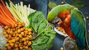 &Oslash;&ordf;&Ugrave;&hellip;&Oslash;&sect;&Ugrave;&hellip; &Oslash;&uml;&Oslash;&sect;&Ucirc;&OElig;&Oslash;&macr;&Ugrave;&Dagger;&Oslash;&sect; &Ugrave;&circ; &Ugrave;&dagger;&Oslash;&uml;&Oslash;&sect;&Ucirc;&OElig;&Oslash;&macr;&Ugrave;&Dagger;&Oslash;&sect;&Ucirc;&OElig; &Oslash;&ordm;&Oslash;&deg;&Oslash;&sect;&Ucirc;&OElig; &Oslash;&middot;&Ugrave;&circ;&Oslash;&middot;&Ucirc;&OElig;!