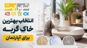&Oslash;&plusmn;&Oslash;&sect;&Ugrave;&Dagger;&Ugrave;&dagger;&Ugrave;&hellip;&Oslash;&sect;&Ucirc;&OElig; &Oslash;&sect;&Ugrave;&dagger;&Oslash;&ordf;&Oslash;&reg;&Oslash;&sect;&Oslash;&uml; &Oslash;&reg;&Oslash;&sect;&Uacute;&copy; &Uacute;&macr;&Oslash;&plusmn;&Oslash;&uml;&Ugrave;&Dagger;&Oslash;&rsaquo; &Oslash;&uml;&Ugrave;&dagger;&Oslash;&ordf;&Ugrave;&circ;&Ugrave;&dagger;&Ucirc;&OElig;&Oslash;&ordf;&Ucirc;&OElig;&Oslash;&OElig; &Oslash;&sup3;&Ucirc;&OElig;&Ugrave;&bdquo;&Ucirc;&OElig;&Uacute;&copy;&Oslash;&sect;&Uacute;&tilde;&Ugrave;&bdquo; &Ucirc;&OElig;&Oslash;&sect; &Oslash;&middot;&Oslash;&uml;&Ucirc;&OElig;&Oslash;&sup1;&Ucirc;&OElig;&Oslash;&Yuml;