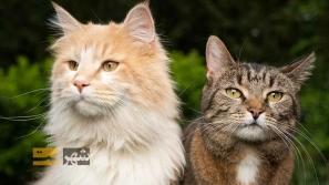 &Oslash;&sect;&Ugrave;&dagger;&Oslash;&ordf;&Oslash;&reg;&Oslash;&sect;&Oslash;&uml; &Oslash;&uml;&Ugrave;&Dagger;&Oslash;&ordf;&Oslash;&plusmn;&Ucirc;&OElig;&Ugrave;&dagger; &Ugrave;&dagger;&Uacute;&tilde;&Oslash;&sect;&Oslash;&macr; &Uacute;&macr;&Oslash;&plusmn;&Oslash;&uml;&Ugrave;&Dagger; &Ugrave;&hellip;&Oslash;&ordf;&Ugrave;&dagger;&Oslash;&sect;&Oslash;&sup3;&Oslash;&uml; &Oslash;&uml;&Oslash;&sect; &Oslash;&sup3;&Oslash;&uml;&Uacute;&copy; &Oslash;&sup2;&Ugrave;&dagger;&Oslash;&macr;&Uacute;&macr;&Ucirc;&OElig; &Oslash;&acute;&Ugrave;&hellip;&Oslash;&sect;