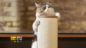 &Oslash;&plusmn;&Oslash;&sect;&Ugrave;&Dagger;&Ugrave;&dagger;&Ugrave;&hellip;&Oslash;&sect;&Ucirc;&OElig; &Oslash;&sect;&Ugrave;&dagger;&Oslash;&ordf;&Oslash;&reg;&Oslash;&sect;&Oslash;&uml; &Oslash;&macr;&Oslash;&plusmn;&Oslash;&reg;&Oslash;&ordf; &Uacute;&macr;&Oslash;&plusmn;&Oslash;&uml;&Ugrave;&Dagger; &Oslash;&sect;&Oslash;&sup3;&Oslash;&ordf;&Oslash;&sect;&Ugrave;&dagger;&Oslash;&macr;&Oslash;&sect;&Oslash;&plusmn;&Oslash;&macr; | &Ugrave;&dagger;&Uacute;&copy;&Oslash;&sect;&Oslash;&ordf;&Ucirc;&OElig; &Uacute;&copy;&Ugrave;&Dagger; &Ugrave;&sbquo;&Oslash;&uml;&Ugrave;&bdquo; &Oslash;&sect;&Oslash;&sup2; &Oslash;&reg;&Oslash;&plusmn;&Ucirc;&OElig;&Oslash;&macr; &Oslash;&uml;&Oslash;&sect;&Ucirc;&OElig;&Oslash;&macr; &Oslash;&uml;&Oslash;&macr;&Oslash;&sect;&Ugrave;&dagger;&Ucirc;&OElig;&Oslash;&macr;!