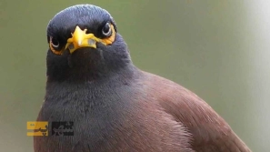 &Oslash;&sect;&Oslash;&sup3;&Oslash;&uml;&Oslash;&sect;&Oslash;&uml;&acirc;&euro;&OElig;&Oslash;&uml;&Oslash;&sect;&Oslash;&sup2;&Ucirc;&OElig;&acirc;&euro;&OElig;&Ugrave;&Dagger;&Oslash;&sect;&Ucirc;&OElig; &Ugrave;&hellip;&Oslash;&shy;&Oslash;&uml;&Ugrave;&circ;&Oslash;&uml; &Oslash;&uml;&Oslash;&plusmn;&Oslash;&sect;&Ucirc;&OElig; &Ugrave;&hellip;&Oslash;&plusmn;&Oslash;&ordm; &Ugrave;&hellip;&Ucirc;&OElig;&Ugrave;&dagger;&Oslash;&sect;: &Oslash;&plusmn;&Oslash;&sect;&Ugrave;&Dagger;&Ugrave;&dagger;&Ugrave;&hellip;&Oslash;&sect;&Ucirc;&OElig; &Uacute;&copy;&Oslash;&sect;&Ugrave;&hellip;&Ugrave;&bdquo; &Oslash;&sect;&Ugrave;&dagger;&Oslash;&ordf;&Oslash;&reg;&Oslash;&sect;&Oslash;&uml;&Oslash;&OElig; &Oslash;&reg;&Oslash;&plusmn;&Ucirc;&OElig;&Oslash;&macr; &Ugrave;&circ; &Oslash;&sect;&Oslash;&sup3;&Oslash;&ordf;&Ugrave;&Oslash;&sect;&Oslash;&macr;&Ugrave;&Dagger;