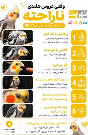 &Ugrave;&circ;&Ugrave;&sbquo;&Oslash;&ordf;&Ucirc;&OElig; &Oslash;&sup1;&Oslash;&plusmn;&Ugrave;&circ;&Oslash;&sup3; &Ugrave;&Dagger;&Ugrave;&bdquo;&Ugrave;&dagger;&Oslash;&macr;&Ucirc;&OElig; &Ugrave;&dagger;&Oslash;&sect;&Oslash;&plusmn;&Oslash;&sect;&Oslash;&shy;&Oslash;&ordf;&Ugrave;&Dagger; &Oslash;&sect;&Oslash;&sup2; &Uacute;&copy;&Oslash;&not;&Oslash;&sect; &Oslash;&uml;&Ugrave;&Ugrave;&Dagger;&Ugrave;&hellip;&Ucirc;&OElig;&Ugrave;&hellip;&Oslash;&Yuml; &Ucirc;&para; &Ugrave;&dagger;&Oslash;&acute;&Oslash;&sect;&Ugrave;&dagger;&Ugrave;&Dagger; &Ugrave;&hellip;&Ugrave;&Dagger;&Ugrave;&hellip;