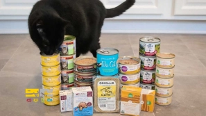 &Oslash;&ordm;&Oslash;&deg;&Oslash;&sect;&Ucirc;&OElig; &Uacute;&copy;&Ugrave;&dagger;&Oslash;&sup3;&Oslash;&plusmn;&Ugrave;&circ;&Ucirc;&OElig; &Ugrave;&hellip;&Oslash;&plusmn;&Oslash;&middot;&Ugrave;&circ;&Oslash;&uml; &Uacute;&macr;&Oslash;&plusmn;&Oslash;&uml;&Ugrave;&Dagger; &Oslash;&uml;&Oslash;&sect; &Ugrave;&frac34;&Oslash;&plusmn;&Ugrave;&circ;&Oslash;&ordf;&Oslash;&brvbar;&Ucirc;&OElig;&Ugrave;&dagger; &Oslash;&uml;&Oslash;&sect;&Ugrave;&bdquo;&Oslash;&sect; &Ugrave;&circ; &Oslash;&ordf;&Oslash;&plusmn;&Uacute;&copy;&Ucirc;&OElig;&Oslash;&uml;&Oslash;&sect;&Oslash;&ordf; &Oslash;&middot;&Oslash;&uml;&Ucirc;&OElig;&Oslash;&sup1;&Ucirc;&OElig; | &Oslash;&sect;&Ugrave;&dagger;&Oslash;&ordf;&Oslash;&reg;&Oslash;&sect;&Oslash;&uml;&Ucirc;&OElig; &Ugrave;&hellip;&Oslash;&middot;&Ugrave;&hellip;&Oslash;&brvbar;&Ugrave;&dagger; &Oslash;&uml;&Oslash;&plusmn;&Oslash;&sect;&Ucirc;&OElig; &Oslash;&sup3;&Ugrave;&bdquo;&Oslash;&sect;&Ugrave;&hellip;&Oslash;&ordf; &Uacute;&macr;&Oslash;&plusmn;&Oslash;&uml;&Ugrave;&Dagger;!