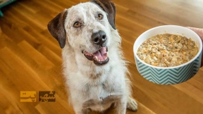 &Oslash;&reg;&Oslash;&plusmn;&Ucirc;&OElig;&Oslash;&macr; &Uacute;&copy;&Ugrave;&dagger;&Oslash;&sup3;&Oslash;&plusmn;&Ugrave;&circ; &Oslash;&sup3;&Uacute;&macr;: &Oslash;&plusmn;&Oslash;&sect;&Ugrave;&Dagger;&Ugrave;&dagger;&Ugrave;&hellip;&Oslash;&sect;&Ucirc;&OElig; &Uacute;&copy;&Oslash;&sect;&Ugrave;&hellip;&Ugrave;&bdquo; &Oslash;&sect;&Ugrave;&dagger;&Oslash;&ordf;&Oslash;&reg;&Oslash;&sect;&Oslash;&uml; &Oslash;&uml;&Ugrave;&Dagger;&Oslash;&ordf;&Oslash;&plusmn;&Ucirc;&OElig;&Ugrave;&dagger; &Ugrave;&hellip;&Oslash;&shy;&Oslash;&micro;&Ugrave;&circ;&Ugrave;&bdquo;