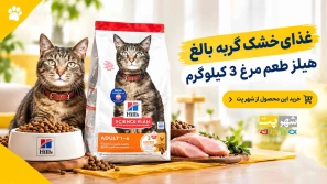&Oslash;&uml;&Oslash;&sup3;&Oslash;&ordf;&Ugrave;&Dagger; &Ucirc;&sup3; &Uacute;&copy;&Ucirc;&OElig;&Ugrave;&bdquo;&Ugrave;&circ;&Ucirc;&OElig;&Ucirc;&OElig; &Ugrave;&Dagger;&Ucirc;&OElig;&Ugrave;&bdquo;&Oslash;&sup2; &Oslash;&uml;&Oslash;&plusmn;&Oslash;&sect;&Ucirc;&OElig; &Ucirc;&OElig;&Uacute;&copy; &Uacute;&macr;&Oslash;&plusmn;&Oslash;&uml;&Ugrave;&Dagger; &Oslash;&uml;&Oslash;&sect;&Ugrave;&bdquo;&Oslash;&ordm; &Uacute;&dagger;&Ugrave;&dagger;&Oslash;&macr; &Ugrave;&hellip;&Oslash;&sect;&Ugrave;&Dagger; &Uacute;&copy;&Oslash;&sect;&Ugrave;&Ucirc;&OElig; &Oslash;&sect;&Oslash;&sup3;&Oslash;&ordf;&Oslash;&Yuml;