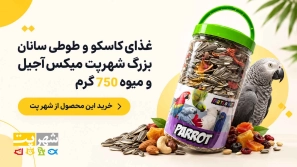 &Uacute;&dagger;&Ugrave;&Dagger; &Oslash;&ordm;&Oslash;&deg;&Oslash;&sect;&Ugrave;&Dagger;&Oslash;&sect;&Ucirc;&OElig;&Ucirc;&OElig; &Oslash;&uml;&Oslash;&plusmn;&Oslash;&sect;&Ucirc;&OElig; &Uacute;&copy;&Oslash;&sect;&Oslash;&sup3;&Uacute;&copy;&Ugrave;&circ; &Ugrave;&hellip;&Ugrave;&hellip;&Ugrave;&dagger;&Ugrave;&circ;&Oslash;&sup1; &Oslash;&sect;&Oslash;&sup3;&Oslash;&ordf;&Oslash;&Yuml; &Ugrave;&bdquo;&Ucirc;&OElig;&Oslash;&sup3;&Oslash;&ordf; &Oslash;&reg;&Ugrave;&circ;&Oslash;&plusmn;&Oslash;&sect;&Uacute;&copy;&Ucirc;&OElig; &Ugrave;&Dagger;&Oslash;&sect;&Ucirc;&OElig; &Oslash;&reg;&Oslash;&middot;&Oslash;&plusmn;&Ugrave;&dagger;&Oslash;&sect;&Uacute;&copy;