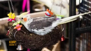 &Oslash;&uml;&Ugrave;&Dagger;&Oslash;&ordf;&Oslash;&plusmn;&Ucirc;&OElig;&Ugrave;&dagger; &Oslash;&sect;&Oslash;&sup3;&Oslash;&uml;&Oslash;&sect;&Oslash;&uml;&acirc;&euro;&OElig;&Oslash;&uml;&Oslash;&sect;&Oslash;&sup2;&Ucirc;&OElig;&acirc;&euro;&OElig;&Ugrave;&Dagger;&Oslash;&sect; &Oslash;&uml;&Oslash;&plusmn;&Oslash;&sect;&Ucirc;&OElig; &Oslash;&sup3;&Oslash;&plusmn;&Uacute;&macr;&Oslash;&plusmn;&Ugrave;&hellip;&Ucirc;&OElig; &Oslash;&sup1;&Oslash;&plusmn;&Ugrave;&circ;&Oslash;&sup3; &Ugrave;&Dagger;&Ugrave;&bdquo;&Ugrave;&dagger;&Oslash;&macr;&Ucirc;&OElig;