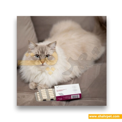 پروبیوتیک سگ و گربه وت اکسپرت BIOPROTECT ULTRA