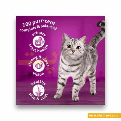 غذای خشک گربه ویسکاس طعم مرغ وزن ۳۰۰ گرم