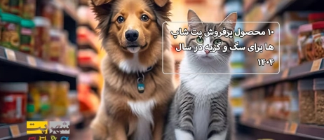۱۰ محصول پرفروش پت شاپ ها برای سگ و گربه در سال ۱۴۰۴