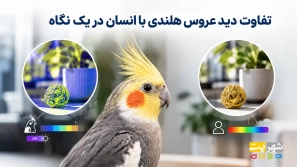 &Oslash;&sup1;&Oslash;&plusmn;&Ugrave;&circ;&Oslash;&sup3; &Ugrave;&Dagger;&Ugrave;&bdquo;&Ugrave;&dagger;&Oslash;&macr;&Ucirc;&OElig; &Oslash;&macr;&Ugrave;&dagger;&Ucirc;&OElig;&Oslash;&sect; &Oslash;&plusmn;&Oslash;&sect; &Uacute;&dagger;&Uacute;&macr;&Ugrave;&circ;&Ugrave;&dagger;&Ugrave;&Dagger; &Ugrave;&hellip;&Ucirc;&OElig; &Oslash;&uml;&Ucirc;&OElig;&Ugrave;&dagger;&Oslash;&macr;&Oslash;&Yuml; &Oslash;&ordf;&Ugrave;&Oslash;&sect;&Ugrave;&circ;&Oslash;&ordf; &Oslash;&acute;&Uacute;&macr;&Ugrave;&Oslash;&ordf; &Oslash;&sect;&Ugrave;&dagger;&Uacute;&macr;&Ucirc;&OElig;&Oslash;&sup2; &Uacute;&dagger;&Oslash;&acute;&Ugrave;&hellip; &Oslash;&sup1;&Oslash;&plusmn;&Ugrave;&circ;&Oslash;&sup3; &Ugrave;&Dagger;&Ugrave;&bdquo;&Ugrave;&dagger;&Oslash;&macr;&Ucirc;&OElig; &Oslash;&uml;&Oslash;&sect; &Oslash;&sect;&Ugrave;&dagger;&Oslash;&sup3;&Oslash;&sect;&Ugrave;&dagger;