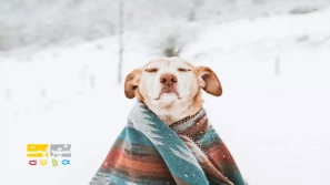 &Ucirc;&cedil; &Oslash;&ordf;&Ugrave;&circ;&Oslash;&micro;&Ucirc;&OElig;&Ugrave;&Dagger; &Oslash;&para;&Oslash;&plusmn;&Ugrave;&circ;&Oslash;&plusmn;&Ucirc;&OElig; &Oslash;&uml;&Oslash;&plusmn;&Oslash;&sect;&Ucirc;&OElig; &Oslash;&sup3;&Ugrave;&bdquo;&Oslash;&sect;&Ugrave;&hellip;&Oslash;&ordf; &Oslash;&shy;&Ucirc;&OElig;&Ugrave;&circ;&Oslash;&sect;&Ugrave;&dagger;&Oslash;&sect;&Oslash;&ordf; &Oslash;&reg;&Oslash;&sect;&Ugrave;&dagger;&Uacute;&macr;&Ucirc;&OElig; &Oslash;&macr;&Oslash;&plusmn; &Ugrave;&Oslash;&micro;&Ugrave;&bdquo; &Oslash;&sup2;&Ugrave;&hellip;&Oslash;&sup3;&Oslash;&ordf;&Oslash;&sect;&Ugrave;&dagger;