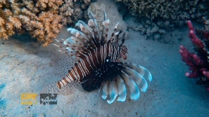 &Oslash;&cent;&Oslash;&acute;&Ugrave;&dagger;&Oslash;&sect;&Ucirc;&OElig;&Ucirc;&OElig; &Oslash;&uml;&Oslash;&sect; &Ugrave;&hellip;&Oslash;&sect;&Ugrave;&Dagger;&Ucirc;&OElig;&acirc;&euro;&OElig;&Ugrave;&Dagger;&Oslash;&sect;&Ucirc;&OElig; &Oslash;&cent;&Uacute;&copy;&Ugrave;&circ;&Oslash;&sect;&Oslash;&plusmn;&Ucirc;&OElig;&Ugrave;&circ;&Ugrave;&hellip;&Ucirc;&OElig; &Oslash;&cent;&Oslash;&uml; &Oslash;&acute;&Ugrave;&circ;&Oslash;&plusmn; &Ugrave;&circ; &Oslash;&acute;&Oslash;&plusmn;&Oslash;&sect;&Ucirc;&OElig;&Oslash;&middot; &Ugrave;&dagger;&Uacute;&macr;&Ugrave;&Dagger;&Oslash;&macr;&Oslash;&sect;&Oslash;&plusmn;&Ucirc;&OElig; &Oslash;&cent;&Ugrave;&dagger;&acirc;&euro;&OElig;&Ugrave;&Dagger;&Oslash;&sect;