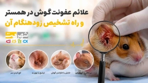 &Oslash;&sup1;&Ugrave;&Ugrave;&circ;&Ugrave;&dagger;&Oslash;&ordf; &Uacute;&macr;&Ugrave;&circ;&Oslash;&acute; &Oslash;&macr;&Oslash;&plusmn; &Ugrave;&Dagger;&Ugrave;&hellip;&Oslash;&sup3;&Oslash;&ordf;&Oslash;&plusmn;&Oslash;&rsaquo; &Oslash;&sect;&Oslash;&sup2; &Oslash;&sup1;&Ugrave;&bdquo;&Oslash;&ordf; &Uacute;&copy;&Oslash;&not; &Oslash;&acute;&Oslash;&macr;&Ugrave;&dagger; &Oslash;&sup3;&Oslash;&plusmn; &Oslash;&ordf;&Oslash;&sect; &Oslash;&sup2;&Ugrave;&hellip;&Oslash;&sect;&Ugrave;&dagger; &Oslash;&sect;&Oslash;&sup3;&Oslash;&ordf;&Ugrave;&Oslash;&sect;&Oslash;&macr;&Ugrave;&Dagger; &Oslash;&sect;&Oslash;&sup2; &Ugrave;&sbquo;&Oslash;&middot;&Oslash;&plusmn;&Ugrave;&Dagger;
