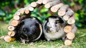 &Uacute;&dagger;&Uacute;&macr;&Ugrave;&circ;&Ugrave;&dagger;&Ugrave;&Dagger; &Oslash;&reg;&Oslash;&sect;&Ugrave;&dagger;&Ugrave;&Dagger;&acirc;&euro;&OElig;&Oslash;&sect;&Ucirc;&OElig; &Oslash;&sect;&Ugrave;&hellip;&Ugrave;&dagger; &Ugrave;&circ; &Oslash;&plusmn;&Oslash;&sect;&Oslash;&shy;&Oslash;&ordf; &Oslash;&uml;&Oslash;&plusmn;&Oslash;&sect;&Ucirc;&OElig; &Oslash;&reg;&Ugrave;&circ;&Uacute;&copy;&Uacute;&dagger;&Ugrave;&Dagger; &Ugrave;&Dagger;&Ugrave;&dagger;&Oslash;&macr;&Ucirc;&OElig; &Oslash;&uml;&Oslash;&sup3;&Oslash;&sect;&Oslash;&sup2;&Ucirc;&OElig;&Ugrave;&hellip;&Oslash;&Yuml;&Acirc;&nbsp;