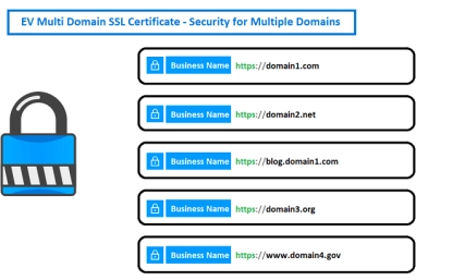 اس اس ال ssl multi domain  چیست ؟