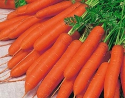 خواص هویج