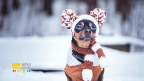 &Ucirc;&cedil; &Oslash;&ordf;&Ugrave;&circ;&Oslash;&micro;&Ucirc;&OElig;&Ugrave;&Dagger; &Oslash;&para;&Oslash;&plusmn;&Ugrave;&circ;&Oslash;&plusmn;&Ucirc;&OElig; &Oslash;&uml;&Oslash;&plusmn;&Oslash;&sect;&Ucirc;&OElig; &Oslash;&sup3;&Ugrave;&bdquo;&Oslash;&sect;&Ugrave;&hellip;&Oslash;&ordf; &Oslash;&shy;&Ucirc;&OElig;&Ugrave;&circ;&Oslash;&sect;&Ugrave;&dagger;&Oslash;&sect;&Oslash;&ordf; &Oslash;&reg;&Oslash;&sect;&Ugrave;&dagger;&Uacute;&macr;&Ucirc;&OElig; &Oslash;&macr;&Oslash;&plusmn; &Ugrave;&Oslash;&micro;&Ugrave;&bdquo; &Oslash;&sup2;&Ugrave;&hellip;&Oslash;&sup3;&Oslash;&ordf;&Oslash;&sect;&Ugrave;&dagger;