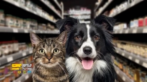 &Ucirc;&plusmn;&Ucirc;&deg; &Ugrave;&hellip;&Oslash;&shy;&Oslash;&micro;&Ugrave;&circ;&Ugrave;&bdquo; &Ugrave;&frac34;&Oslash;&plusmn;&Ugrave;&Oslash;&plusmn;&Ugrave;&circ;&Oslash;&acute; &Ugrave;&frac34;&Oslash;&ordf; &Oslash;&acute;&Oslash;&sect;&Ugrave;&frac34; &Ugrave;&Dagger;&Oslash;&sect; &Oslash;&uml;&Oslash;&plusmn;&Oslash;&sect;&Ucirc;&OElig; &Oslash;&sup3;&Uacute;&macr; &Ugrave;&circ; &Uacute;&macr;&Oslash;&plusmn;&Oslash;&uml;&Ugrave;&Dagger; &Oslash;&macr;&Oslash;&plusmn; &Oslash;&sup3;&Oslash;&sect;&Ugrave;&bdquo; &Ucirc;&plusmn;&Ucirc;&acute;&Ucirc;&deg;&Ucirc;&acute;