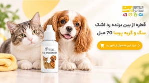 &Oslash;&uml;&Ugrave;&Dagger;&Oslash;&ordf;&Oslash;&plusmn;&Ucirc;&OElig;&Ugrave;&dagger; &Ugrave;&sbquo;&Oslash;&middot;&Oslash;&plusmn;&Ugrave;&Dagger; &Oslash;&uml;&Oslash;&plusmn;&Oslash;&sect;&Ucirc;&OElig; &Oslash;&sup1;&Ugrave;&Ugrave;&circ;&Ugrave;&dagger;&Oslash;&ordf; &Uacute;&dagger;&Oslash;&acute;&Ugrave;&hellip; &Oslash;&sup3;&Uacute;&macr;&Oslash;&rsaquo; &Oslash;&macr;&Oslash;&plusmn;&Ugrave;&hellip;&Oslash;&sect;&Ugrave;&dagger; &Oslash;&sup1;&Ugrave;&Ugrave;&circ;&Ugrave;&dagger;&Oslash;&ordf;&Oslash;&OElig; &Ugrave;&sbquo;&Oslash;&plusmn;&Ugrave;&hellip;&Oslash;&sup2;&Ucirc;&OElig; &Ugrave;&circ; &Oslash;&ordf;&Oslash;&plusmn;&Oslash;&acute;&Oslash;&shy; &Uacute;&dagger;&Oslash;&acute;&Ugrave;&hellip;