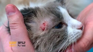 &Uacute;&dagger;&Uacute;&macr;&Ugrave;&circ;&Ugrave;&dagger;&Ugrave;&Dagger; &Oslash;&sect;&Oslash;&sup2; &Uacute;&copy;&Uacute;&copy; &Ugrave;&circ; &Uacute;&copy;&Ugrave;&dagger;&Ugrave;&Dagger; &Oslash;&macr;&Oslash;&plusmn; &Oslash;&shy;&Ucirc;&OElig;&Ugrave;&circ;&Oslash;&sect;&Ugrave;&dagger;&Oslash;&sect;&Oslash;&ordf; &Oslash;&reg;&Oslash;&sect;&Ugrave;&dagger;&Uacute;&macr;&Ucirc;&OElig; &Oslash;&not;&Ugrave;&bdquo;&Ugrave;&circ;&Uacute;&macr;&Ucirc;&OElig;&Oslash;&plusmn;&Ucirc;&OElig; &Uacute;&copy;&Ugrave;&dagger;&Ucirc;&OElig;&Ugrave;&hellip;&Oslash;&Yuml; &Oslash;&plusmn;&Oslash;&sect;&Ugrave;&Dagger;&Ugrave;&dagger;&Ugrave;&hellip;&Oslash;&sect;&Ucirc;&OElig; &Uacute;&copy;&Oslash;&sect;&Ugrave;&hellip;&Ugrave;&bdquo; &Oslash;&uml;&Oslash;&plusmn;&Oslash;&sect;&Ucirc;&OElig; &Oslash;&micro;&Oslash;&sect;&Oslash;&shy;&Oslash;&uml;&Oslash;&sect;&Ugrave;&dagger; &Oslash;&sup3;&Uacute;&macr; &Ugrave;&circ; &Uacute;&macr;&Oslash;&plusmn;&Oslash;&uml;&Ugrave;&Dagger;