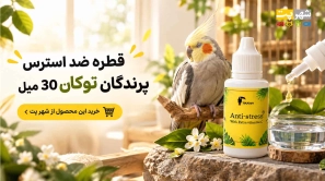 &Ugrave;&circ;&Ucirc;&OElig;&Oslash;&ordf;&Oslash;&sect;&Ugrave;&hellip;&Ucirc;&OElig;&Ugrave;&dagger; C &Oslash;&uml;&Oslash;&plusmn;&Oslash;&sect;&Ucirc;&OElig; &Oslash;&sect;&Oslash;&sup3;&Oslash;&ordf;&Oslash;&plusmn;&Oslash;&sup3; &Ugrave;&frac34;&Oslash;&plusmn;&Ugrave;&dagger;&Oslash;&macr;&Ugrave;&Dagger; &Ugrave;&hellip;&Ugrave;&Ucirc;&OElig;&Oslash;&macr; &Oslash;&sect;&Oslash;&sup3;&Oslash;&ordf;&Oslash;&Yuml;