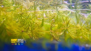 &Oslash;&sup1;&Ugrave;&bdquo;&Oslash;&ordf; &Oslash;&sup2;&Oslash;&plusmn;&Oslash;&macr; &Oslash;&acute;&Oslash;&macr;&Ugrave;&dagger; &Uacute;&macr;&Ucirc;&OElig;&Oslash;&sect;&Ugrave;&Dagger; &Oslash;&cent;&Uacute;&copy;&Ugrave;&circ;&Oslash;&sect;&Oslash;&plusmn;&Ucirc;&OElig;&Ugrave;&circ;&Ugrave;&hellip; &Uacute;&dagger;&Ucirc;&OElig;&Oslash;&sup3;&Oslash;&ordf;&Oslash;&Yuml; &Oslash;&cent;&Ugrave;&hellip;&Ugrave;&circ;&Oslash;&sup2;&Oslash;&acute; &Ugrave;&dagger;&Uacute;&macr;&Ugrave;&Dagger;&Oslash;&macr;&Oslash;&sect;&Oslash;&plusmn;&Ucirc;&OElig; &Oslash;&sect;&Oslash;&micro;&Ugrave;&circ;&Ugrave;&bdquo;&Ucirc;&OElig; &Ugrave;&circ; &Oslash;&plusmn;&Ugrave;&Oslash;&sup1; &Ugrave;&hellip;&Oslash;&acute;&Uacute;&copy;&Ugrave;&bdquo;!