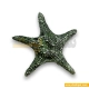 دکوری پلی استر آکواریوم ستاره دریایی 