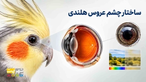 &Oslash;&sup1;&Oslash;&plusmn;&Ugrave;&circ;&Oslash;&sup3; &Ugrave;&Dagger;&Ugrave;&bdquo;&Ugrave;&dagger;&Oslash;&macr;&Ucirc;&OElig; &Oslash;&macr;&Ugrave;&dagger;&Ucirc;&OElig;&Oslash;&sect; &Oslash;&plusmn;&Oslash;&sect; &Uacute;&dagger;&Uacute;&macr;&Ugrave;&circ;&Ugrave;&dagger;&Ugrave;&Dagger; &Ugrave;&hellip;&Ucirc;&OElig; &Oslash;&uml;&Ucirc;&OElig;&Ugrave;&dagger;&Oslash;&macr;&Oslash;&Yuml; &Oslash;&ordf;&Ugrave;&Oslash;&sect;&Ugrave;&circ;&Oslash;&ordf; &Oslash;&acute;&Uacute;&macr;&Ugrave;&Oslash;&ordf; &Oslash;&sect;&Ugrave;&dagger;&Uacute;&macr;&Ucirc;&OElig;&Oslash;&sup2; &Uacute;&dagger;&Oslash;&acute;&Ugrave;&hellip; &Oslash;&sup1;&Oslash;&plusmn;&Ugrave;&circ;&Oslash;&sup3; &Ugrave;&Dagger;&Ugrave;&bdquo;&Ugrave;&dagger;&Oslash;&macr;&Ucirc;&OElig; &Oslash;&uml;&Oslash;&sect; &Oslash;&sect;&Ugrave;&dagger;&Oslash;&sup3;&Oslash;&sect;&Ugrave;&dagger;
