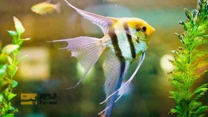 &Oslash;&cent;&Oslash;&acute;&Ugrave;&dagger;&Oslash;&sect;&Ucirc;&OElig;&Ucirc;&OElig; &Oslash;&uml;&Oslash;&sect; &Ugrave;&hellip;&Oslash;&sect;&Ugrave;&Dagger;&Ucirc;&OElig;&acirc;&euro;&OElig;&Ugrave;&Dagger;&Oslash;&sect;&Ucirc;&OElig; &Oslash;&cent;&Uacute;&copy;&Ugrave;&circ;&Oslash;&sect;&Oslash;&plusmn;&Ucirc;&OElig;&Ugrave;&circ;&Ugrave;&hellip;&Ucirc;&OElig; &Oslash;&cent;&Oslash;&uml; &Oslash;&acute;&Ugrave;&circ;&Oslash;&plusmn; &Ugrave;&circ; &Oslash;&acute;&Oslash;&plusmn;&Oslash;&sect;&Ucirc;&OElig;&Oslash;&middot; &Ugrave;&dagger;&Uacute;&macr;&Ugrave;&Dagger;&Oslash;&macr;&Oslash;&sect;&Oslash;&plusmn;&Ucirc;&OElig; &Oslash;&cent;&Ugrave;&dagger;&acirc;&euro;&OElig;&Ugrave;&Dagger;&Oslash;&sect;