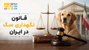 &Ugrave;&sbquo;&Oslash;&sect;&Ugrave;&dagger;&Ugrave;&circ;&Ugrave;&dagger; &Ugrave;&dagger;&Uacute;&macr;&Ugrave;&Dagger;&Oslash;&macr;&Oslash;&sect;&Oslash;&plusmn;&Ucirc;&OElig; &Oslash;&sup3;&Uacute;&macr; &Oslash;&macr;&Oslash;&plusmn; &Oslash;&sect;&Ucirc;&OElig;&Oslash;&plusmn;&Oslash;&sect;&Ugrave;&dagger;&Oslash;&rsaquo; &Ugrave;&dagger;&Uacute;&copy;&Oslash;&sect;&Oslash;&ordf; &Oslash;&shy;&Ugrave;&sbquo;&Ugrave;&circ;&Ugrave;&sbquo;&Ucirc;&OElig; &Oslash;&cent;&Ugrave;&frac34;&Oslash;&sect;&Oslash;&plusmn;&Oslash;&ordf;&Ugrave;&hellip;&Oslash;&sect;&Ugrave;&dagger; &Ugrave;&dagger;&Oslash;&acute;&Ucirc;&OElig;&Ugrave;&dagger;&Ucirc;&OElig; 1405