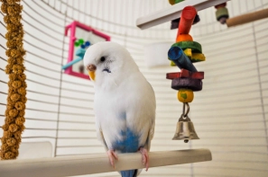 &Ugrave;&hellip;&Oslash;&sup1;&Oslash;&plusmn;&Ugrave;&Ucirc;&OElig; &Oslash;&sect;&Oslash;&sup3;&Oslash;&uml;&Oslash;&sect;&Oslash;&uml; &Oslash;&uml;&Oslash;&sect;&Oslash;&sup2;&Ucirc;&OElig; &Ugrave;&Dagger;&Oslash;&sect;&Ucirc;&OElig; &Oslash;&middot;&Oslash;&uml;&Ucirc;&OElig;&Oslash;&sup1;&Ucirc;&OElig; &Oslash;&uml;&Oslash;&plusmn;&Oslash;&sect;&Ucirc;&OElig; &Ugrave;&frac34;&Oslash;&plusmn;&Ugrave;&dagger;&Oslash;&macr;&Uacute;&macr;&Oslash;&sect;&Ugrave;&dagger; &Oslash;&reg;&Oslash;&sect;&Ugrave;&dagger;&Uacute;&macr;&Ucirc;&OElig;