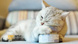 &Oslash;&uml;&Oslash;&plusmn;&Oslash;&sect;&Ucirc;&OElig; &Uacute;&macr;&Oslash;&plusmn;&Oslash;&uml;&Ugrave;&Dagger; &Uacute;&dagger;&Ugrave;&Dagger; &Uacute;&copy;&Ugrave;&dagger;&Oslash;&sup3;&Oslash;&plusmn;&Ugrave;&circ;&Ucirc;&OElig; &Oslash;&uml;&Oslash;&reg;&Oslash;&plusmn;&Ucirc;&OElig;&Ugrave;&hellip;&Oslash;&Yuml; 5 &Ugrave;&hellip;&Oslash;&sup2;&Oslash;&sect;&Ucirc;&OElig;&Oslash;&sect; &Ugrave;&circ; &Ugrave;&hellip;&Oslash;&sup1;&Oslash;&sect;&Ucirc;&OElig;&Oslash;&uml;