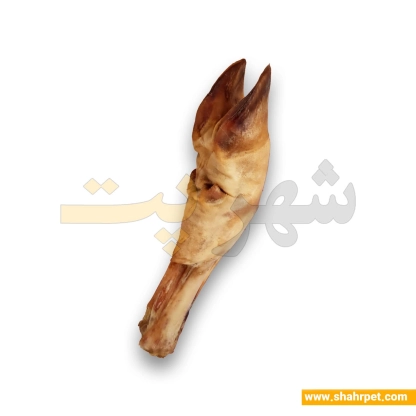 تشویقی سگ پاچه بزرگ گوساله سویل