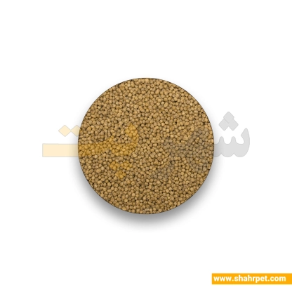 غذای ماهی کوی تروپیکال حاوی کرم ابریشم و آستاگزانتین